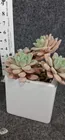  Preview image for Lot# 612 - fake flowers 