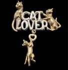  Preview image for Very Cute Cat Lovers Pin With Swing Cat 