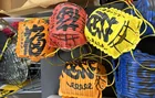  Preview image for Vintage Japanese Lights 