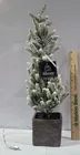  Preview image for Allstate Christmas Tree Lights up with 