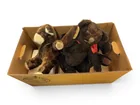  Preview image for Plush Stuffed Animals 