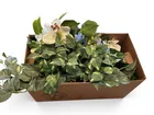  Preview image for Artificial Flowers and Foliage 