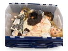  Preview image for Porcelain Dolls 