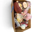  Preview image for Dolls and Plush Toy Collection 