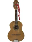 Preview image for Vintage Traditional Acoustic 10-string 