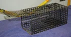  Preview image for Lot# 147 - Homemade Small Animal Live Tr 