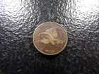  Preview image for 1858 Flying Eagle Cent w/ Large Letters 