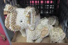  Preview image for Seashell Elephants 