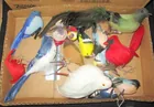  Preview image for Vintage Bird Ornaments 