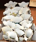  Preview image for LOT OLD PARIS VASES, APPROX. (20) 
