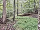 36.24+/- Acres with Public Utilities