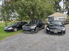 *Live Auction Thursday October 8th*