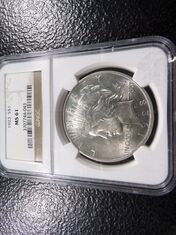 BIG DOG COIN AUCTION
