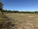 11.66+/-Acres in Two Tracts & Personal Property