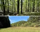 74.85+/- Acres Lewis County Land