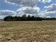 2 Tracts - Undeveloped Lots - 6th St, Muscle Shoal
