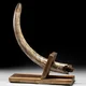 10 5 Unsold Lots Fossils Antiquities Ancient &