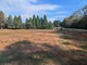 1.96 ACRES IN 3 TRACTS: E. LIMESTONE CO.