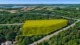 Low Prices, Lasting Value: Bid on Land