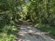 30 Acres Wooded Land
